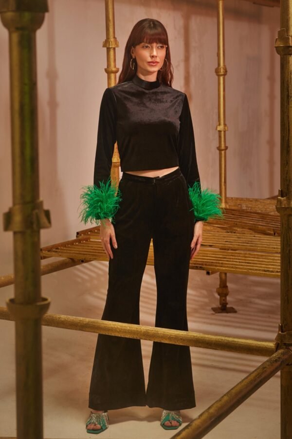 Black Velvet Fit & Flared Pants