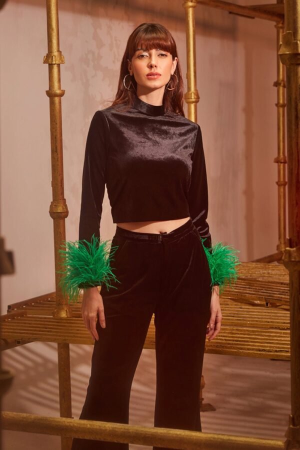 Black Velvet Top With Feathers