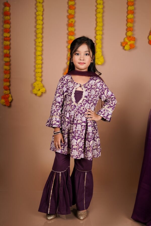 Stylish Neck Designed Sharara Set